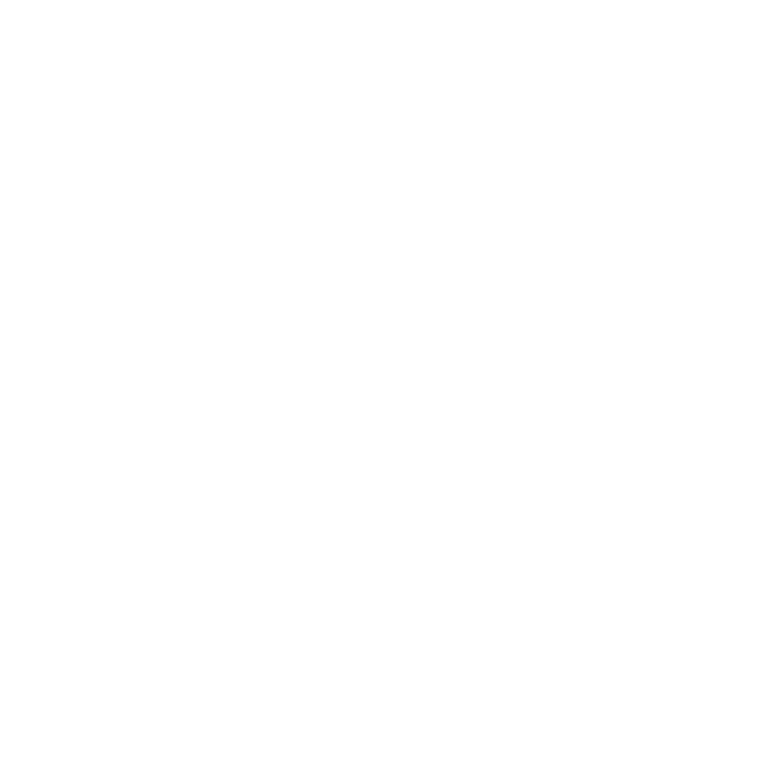 PUNGUE-TECH Logo